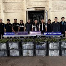 ศุลกากรปราบปรามภาค 2 สกัดกั้นจับกุมตรวจยึดอะโวคาโด อย่างต่อเนื่อง
