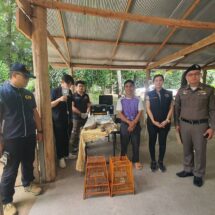 ปทส.บุกรวบครูสอนศาสนา สันทราย เชียงใหม่ ครอบครอง ‘ลิงกัง-นกปรอดหัวโขน’ ผิด กม. เข้าข่ายทารุณกรรมสัตว์