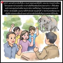 การ์ตูนสั้น จบในตอน เรื่อง ไกล่เกลี่ยข้อพิพาทสำเร็จ กรมอุทยานฯ พา “พลายเจ้างา” คืนสู่ไพร