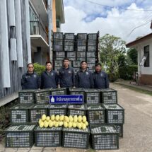 สำนักงานศุลกากรภาคที่ 2 จับกุม มะม่วง เมืองกำเนิดต่างประเทศ มูลค่ากว่า 3.8 แสนบาท