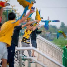 ปทุมธานี-กลุ่มคนเลี้ยงนกบินอิสระเชิญชาวปทุมธานีและผู้ที่รักการเลี้ยงนกบินอิสระจากทั่วประเทศ ร่วมงาน ชวนบิน วัดชินฯ ครั้งที่ 2