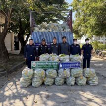 สำนักงานศุลกากรภาคที่ 2 ทำลายของกลางที่คดีถึงที่สุด ประเภทมะม่วงสด