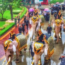13 มีนาคม “วันช้างไทย”รำลึกสัตว์คู่บารมี สดุดีนักสร้างสมดุลแห่งพงไพร“