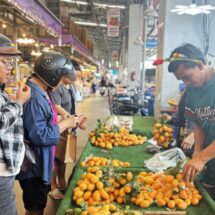 ปทุมธานี-สี่มุมเมืองชี้พิกัด “มะยงชิด–มะขามเทศ” ผลไม้หน้าร้อนราคาดี ส่งตรงจากสวน