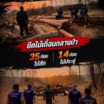 สายเขียวขยับ ! กรณี “นอภ.ร้องกวาง” นำทีมบูรณาการกำลัง ตรวจยึดไม้สักท่อน ไม้ประดู่ กลางป่าสงวน ม. 1 ต.น้ำเลาฯ