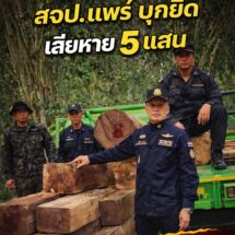 ป่าเดือด ! สจป3 แพร่ “สั่งให้” ผอ.ส่วนป้องกันฯ นำทีม ชป.พิเศษป่าไม้ สจป.3 สาขาแพร่ สนธิกำลังฯร่วมตรวจยึดไม้ชิงชันแปรรูปและไม้ประดู่แปรรูป พท.เขตรอยต่อแพร่-น่าน