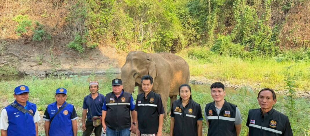 คลายความกังวล ! ปศุสัตว์แพร่ นำทีมตรวจสอบ “สีดอบูม” ตามกระแสโซเชียลเพิ่มเติม