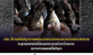 กสม. ชี้การแก้ไขปัญหาการแพร่ระบาดของปลาหมอคางดำขาดประสิทธิภาพ ระบุเกษตรกรยังได้รับผลกระทบอย่างกว้างขวาง แนะทบทวนแผนแก้ไขปัญหา – เตรียมเสนอมหาดไทย ยกเลิกหนังสือเวียนห้ามนายทะเบียนท้องที่ดำเนินการเกี่ยวกับสิทธิสถานะ ชี้ไม่มีกฎหมายให้อำนาจและกระทบสิทธิประชาชนเกินจำเป็น
