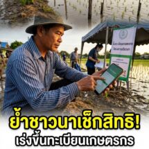 [แจ้งด่วน] เกษตรกรเร่งขึ้นทะเบียน! รับเงินเยียวยานาข้าวไร่ละ 2,240 บาท รัฐย้ำสิทธิประโยชน์คุ้มครองผลผลิตเสียหาย