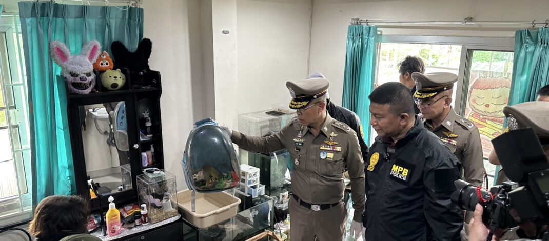 รวบ 2 ผัวเมียสุดแสบลักเอากิ้งก่า-“น้องมาร์ช”ลิงกระรอก ไปแลกยา