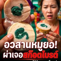 อวสานหมูยอ! สาวจอมทองผงะ ผ่ากลางเจอ “สก๊อตไบรต์ล้างจาน” สอดไส้อยู่ข้างใน