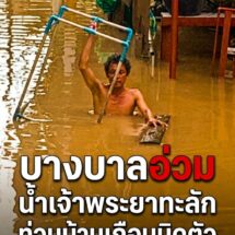 คืนเดียวอ่วม! บางบาลจมบาดาล น้ำเจ้าพระยาทะลักท่วมบ้านเกือบมิดตัว ชาวบ้านโอดตั้งตัวไม่ทัน