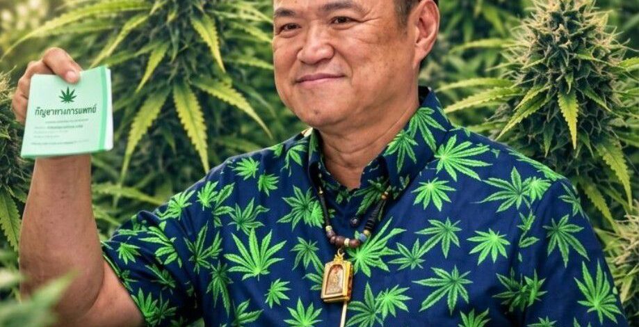 บทเรียนราคาแพง! จาก “กัญชาพารวย” สู่ “ควบคุมเข้ม” เมื่อนโยบายรัฐกลับไปกลับมา แล้วใครรับผิดชอบชีวิตประชาชน?