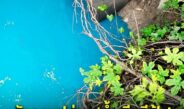 สั่งฟันด่วน! สั่งระงับกิจการโรงงานกล่องกระดาษมักง่าย แอบปล่อย “น้ำเสียสีฟ้า” ทะลักลงคลองสาธารณะนครปฐม