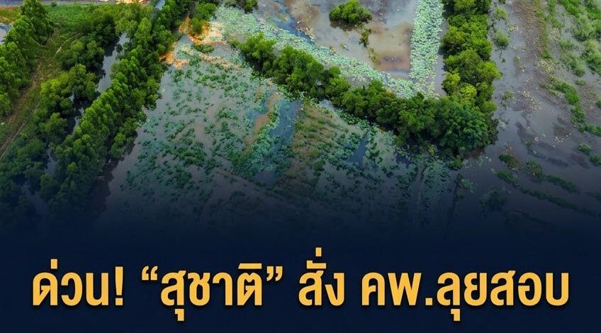 “สุชาติ” สั่งเชือด! สั่ง คพ.ลุยสอบคราบน้ำมันปริศนาไหลตามน้ำท่วมปราจีนบุรี จ่อเอาผิดโรงงานฝังกลบกากอุตสาหกรรม