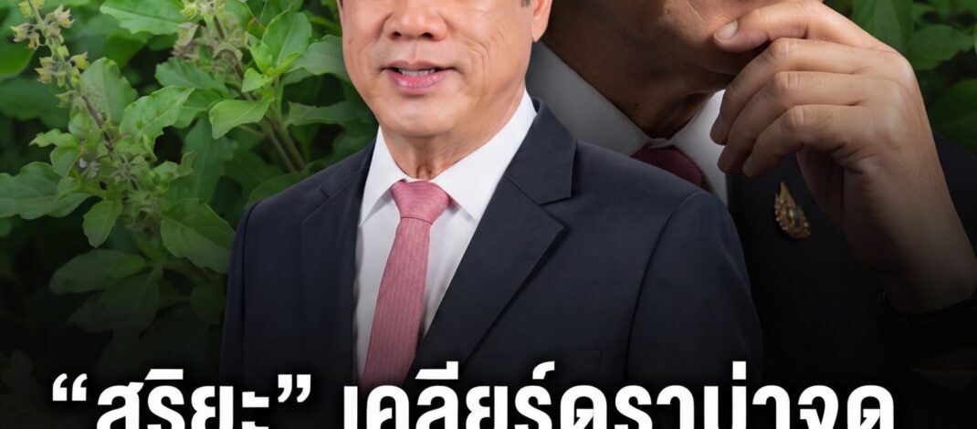 ดราม่า “จดทะเบียนกะเพรา 4 สายพันธุ์” ชาวเน็ตแซวปลูก 2 ต้นจะผิดกฎหมายหรือไม่? “สุริยะ” เคลียร์ชัดปลูกกินได้ ไม่โดนจับ