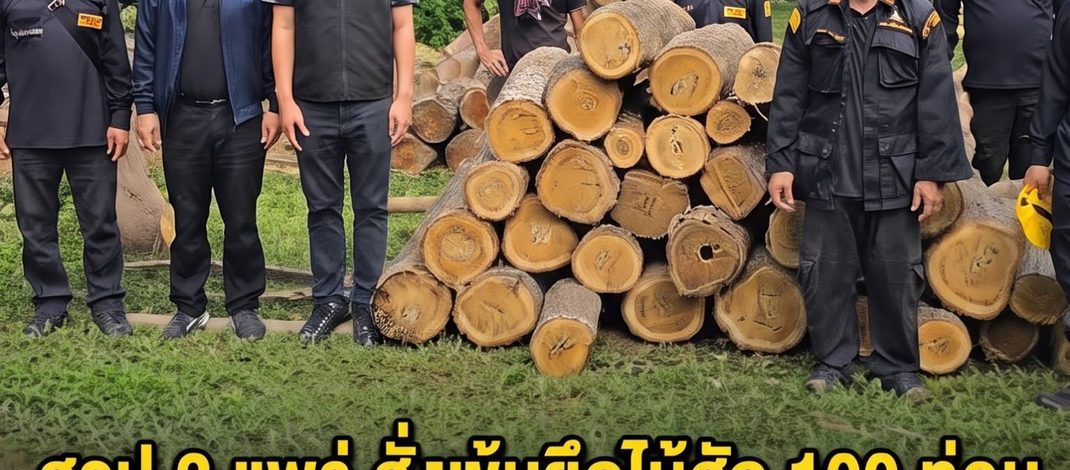 สจป.3 แพร่ สั่งเข้มยึดไม้สัก 100 ท่อน ในแปลงปลูก ออป.สวนป่าเด่นชัย หลังถูกลักลอบตัดเตรียมขนย้าย